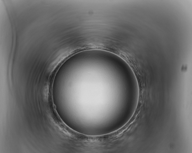 X0000090720194200707271159