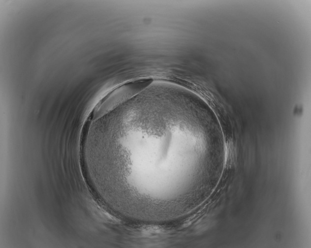 X0000090720195200707271159