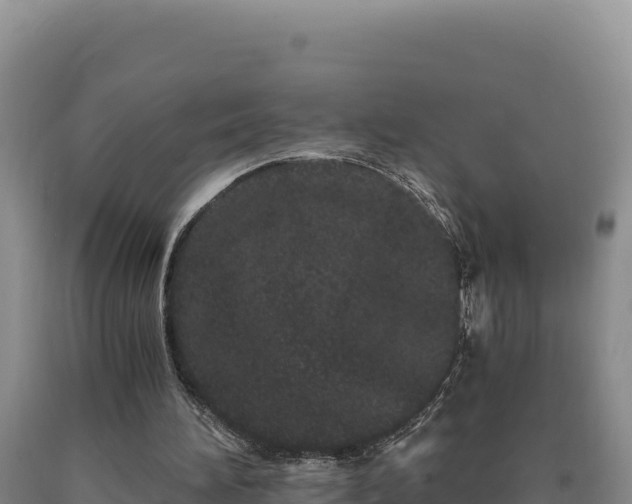 X0000090720196200707271159