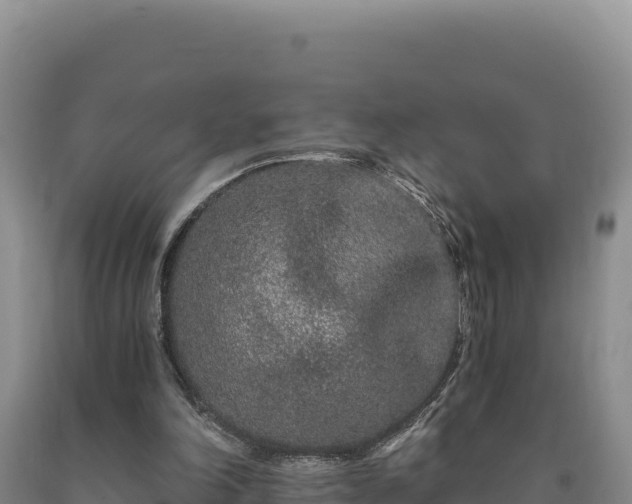 X0000090720198200707271159