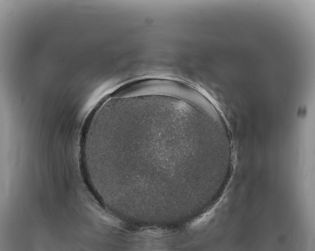 X0000090720199200707271159
