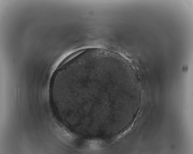 X0000090720200200707271159