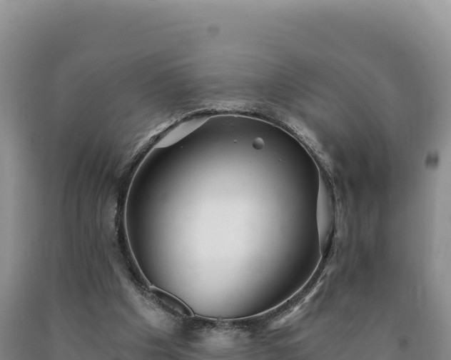 X0000090720201200707271159