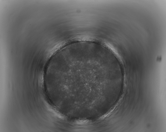 X0000090720202200707271159