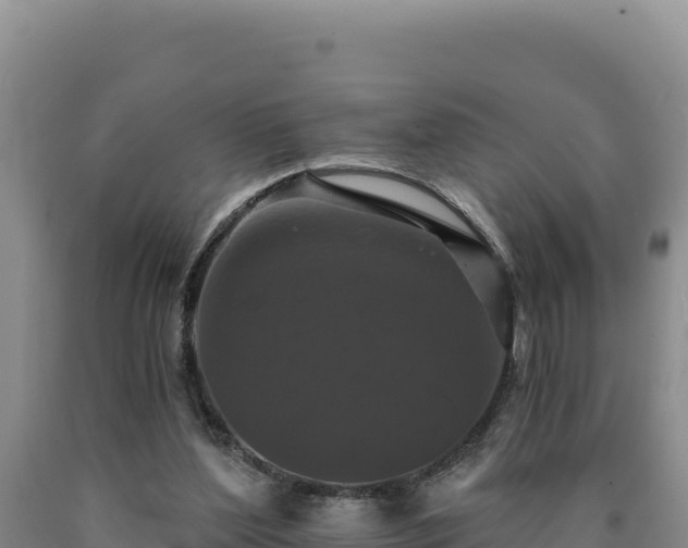 X0000090720204200707271159