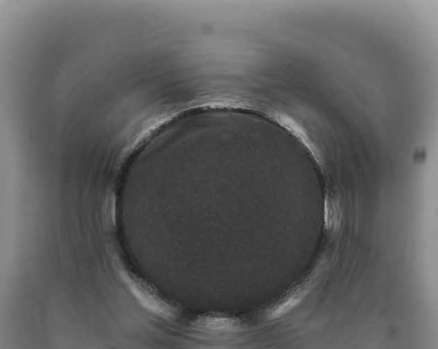 X0000090720205200707271159