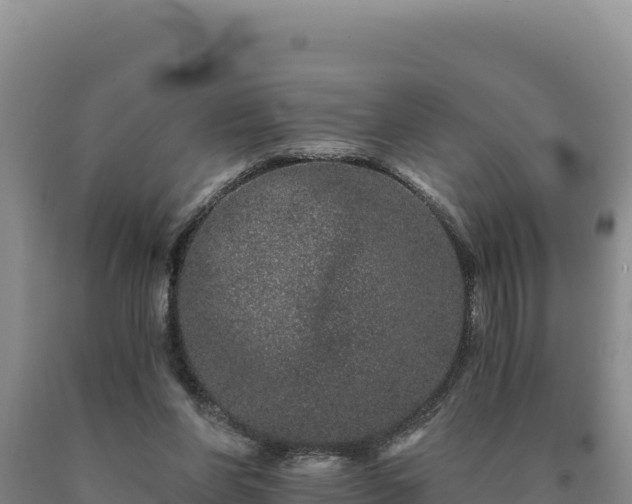X0000090720206200707271159