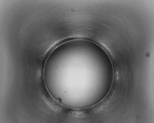 X0000090720208200707271159