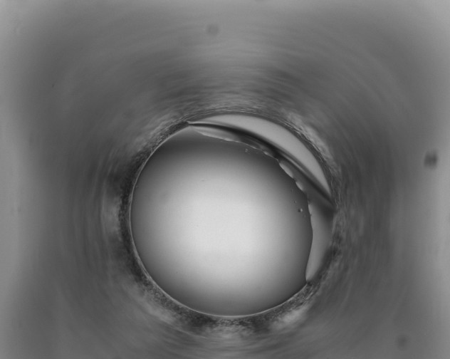 X0000090720209200707271159