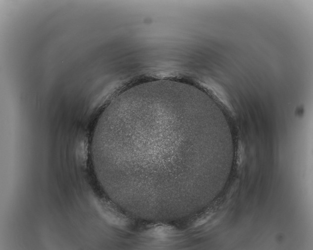 X0000090720210200707271159