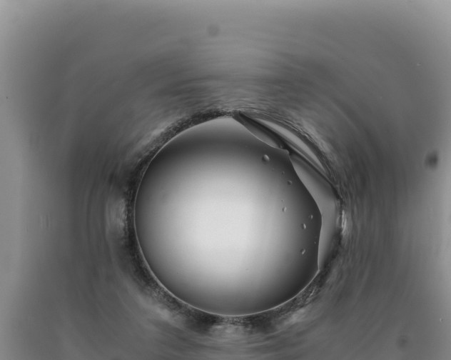 X0000090720211200707271159