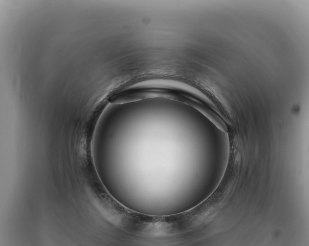 X0000090720212200707271159