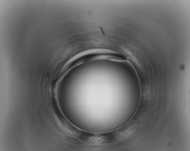X0000090720213200707271159