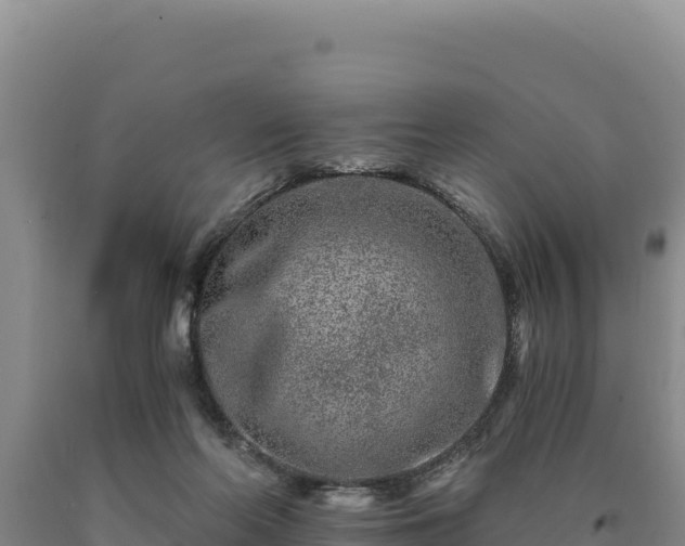 X0000090720214200707271159