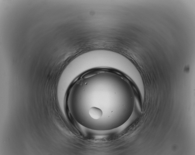 X0000090720215200707271159