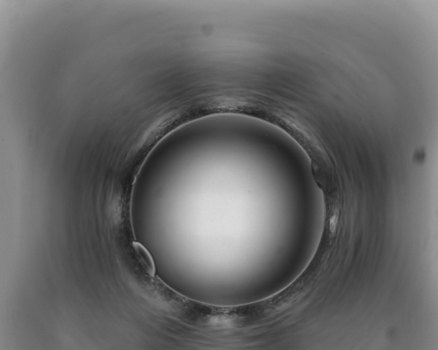 X0000090720216200707271159