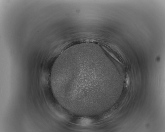 X0000090720218200707271159
