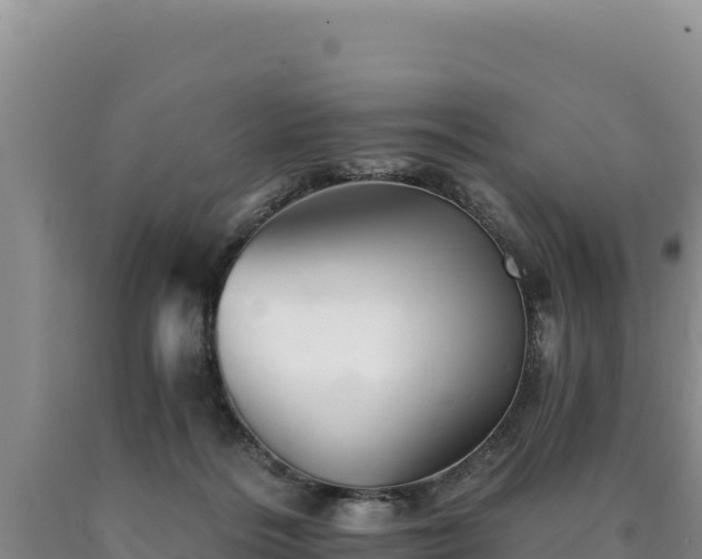 X0000090720220200707271159