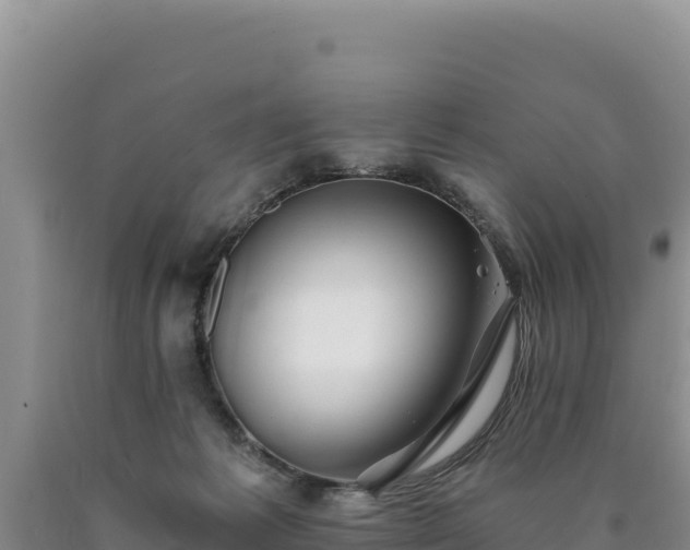 X0000090720221200707271159