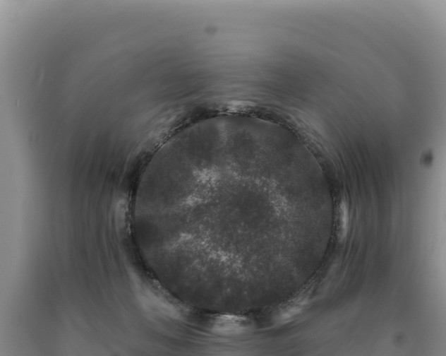 X0000090720222200707271159
