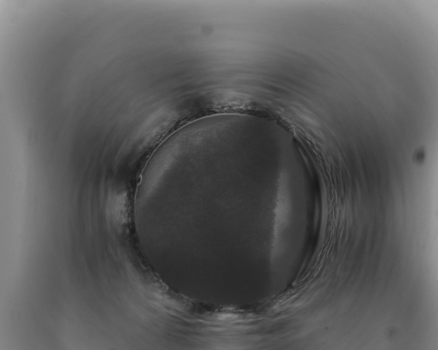 X0000090720224200707271159