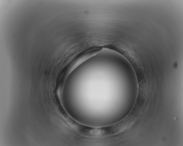 X0000090720225200707271159