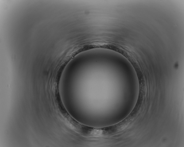 X0000090720227200707271159