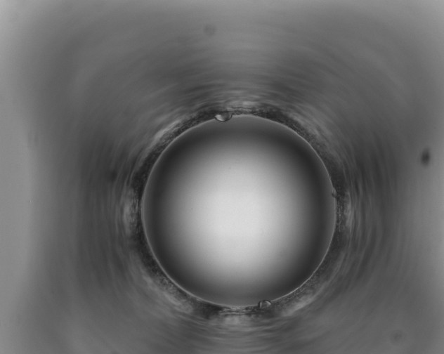 X0000090720228200707271159