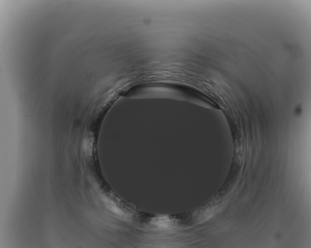 X0000090720231200707271159