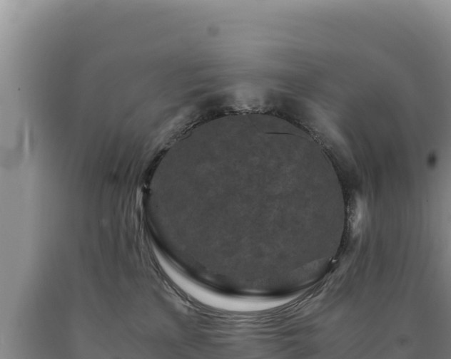 X0000090720233200707271159