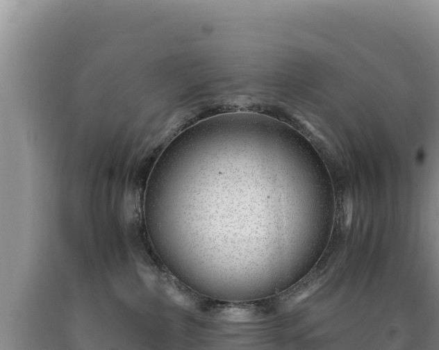 X0000090720236200707271159