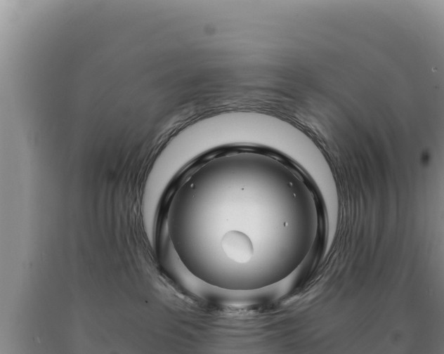 X0000090720237200707271159