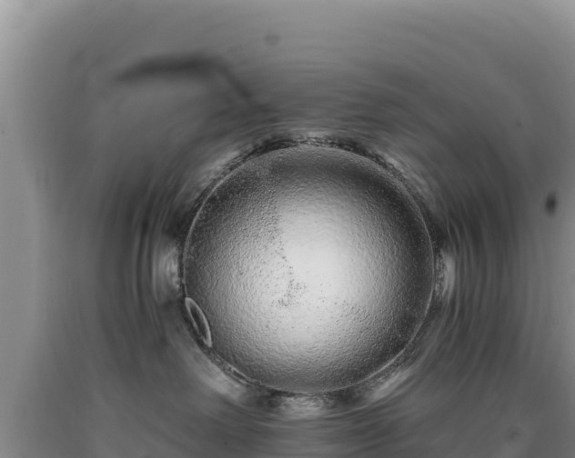 X0000090720238200707271159