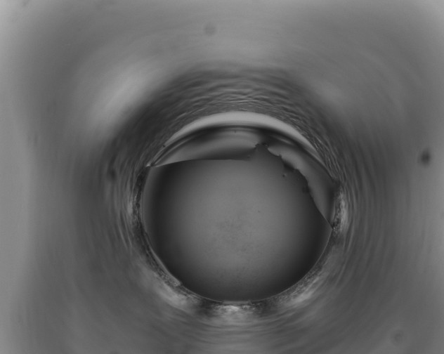 X0000090720239200707271159