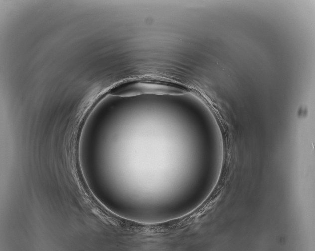X0000090720241200707271158