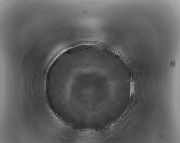 X0000090720243200707271158