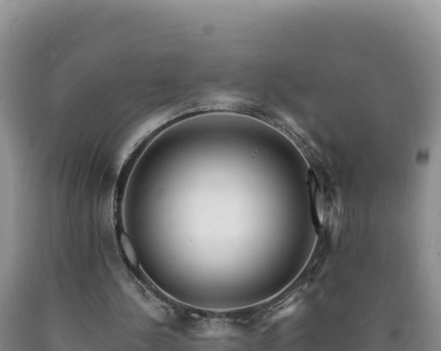 X0000090720244200707271158