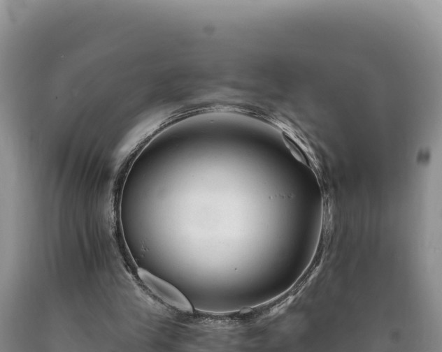 X0000090720245200707271158