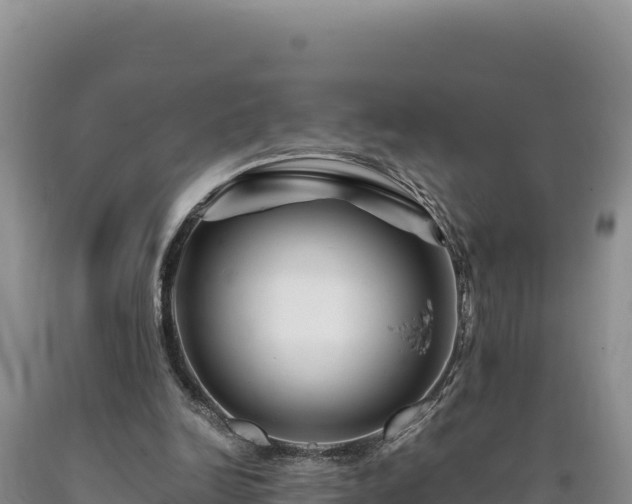 X0000090720246200707271158