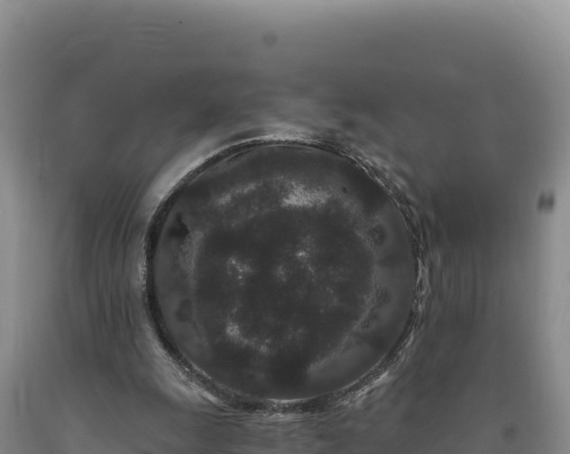 X0000090720247200707271158