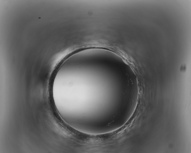 X0000090720248200707271158