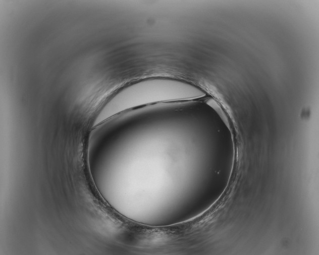 X0000090720249200707271158