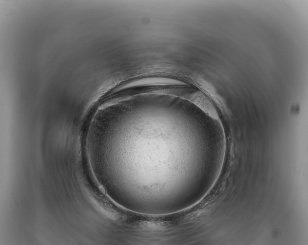 X0000090720250200707271158
