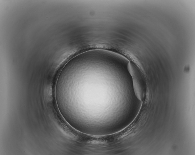 X0000090720251200707271158