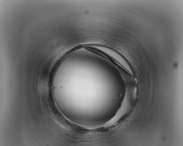 X0000090720252200707271158