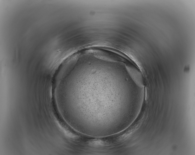 X0000090720253200707271158