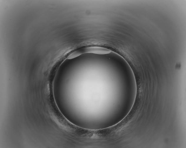 X0000090720254200707271158