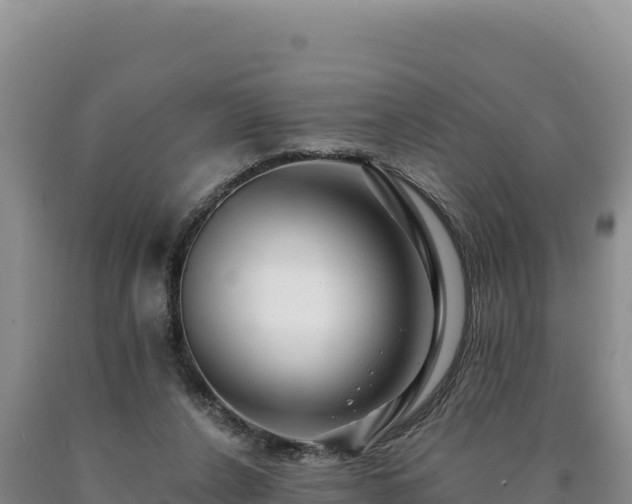 X0000090720256200707271158