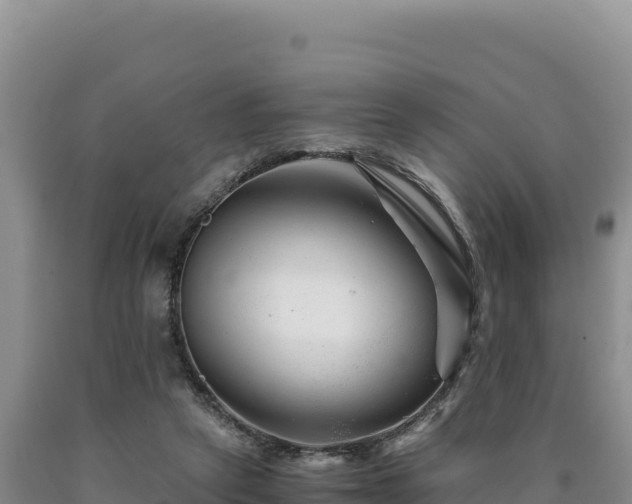 X0000090720257200707271158