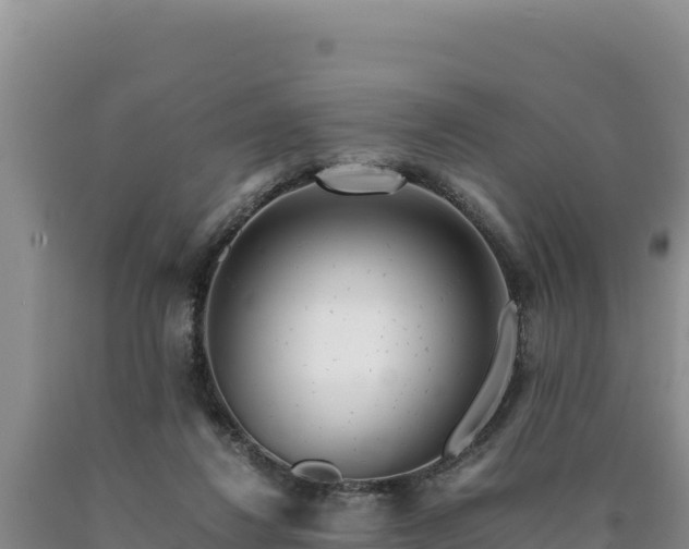 X0000090720260200707271159